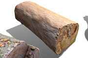 13 Tree Logs, an Environmental 3D Model by Beatheart Creative Studio (Thumbnail 33 of 37)