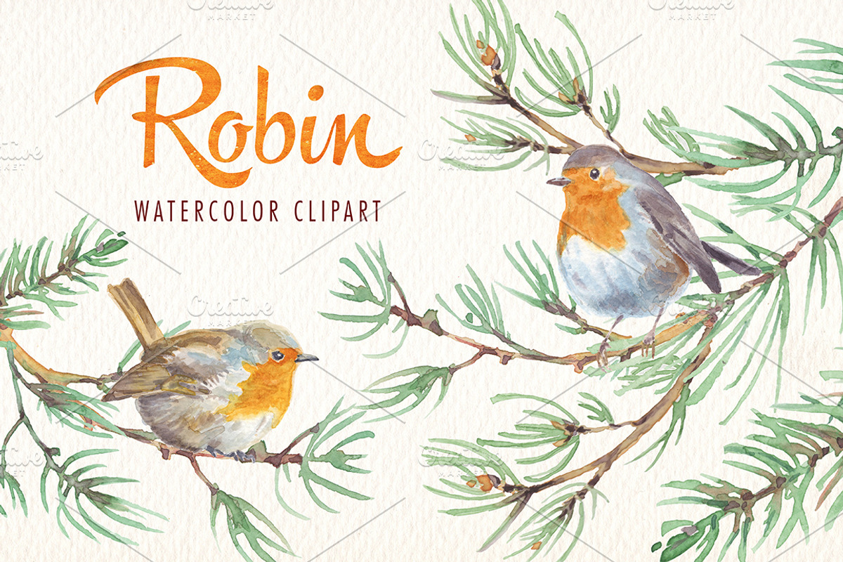watercolor robin bird clipart, an Illustration by Art & Things (Photo 1 of 10)