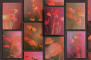 Cinematic Blur - Floral Backgrounds, a Background Graphic by lerinartstudio (Thumbnail 5 of 12)