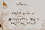 Centaura Script, a Script Font by Chocotype Std (Thumbnail 6 of 8)