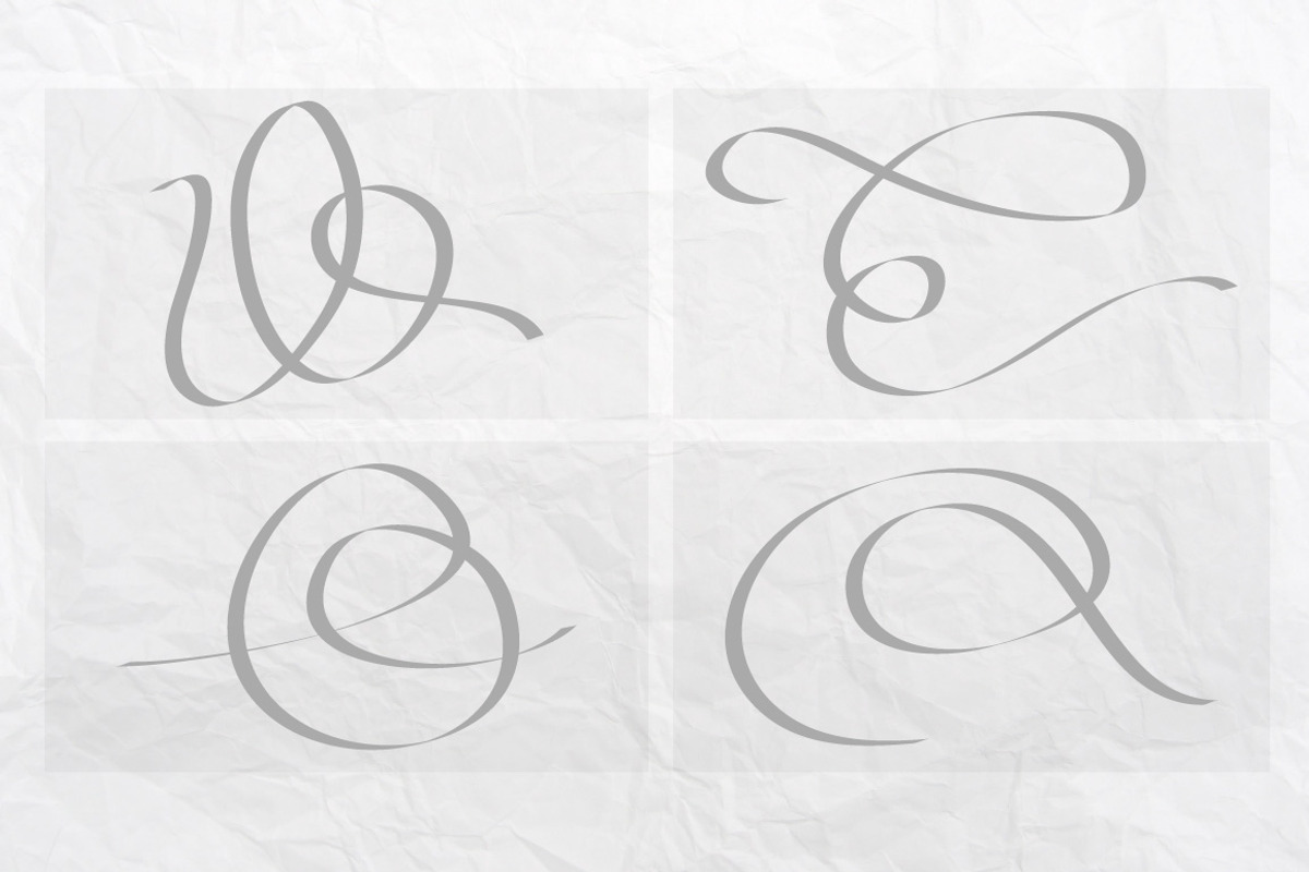 Vector Flourishes, a Decorative Illustration by Little Pixel Shop (Photo 3 of 5)