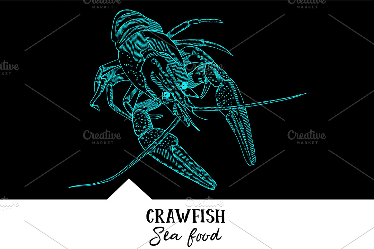 10 vector hand-drawn sea creatures, a Brochure Template by RichmanStudio (Photo 3 of 11)