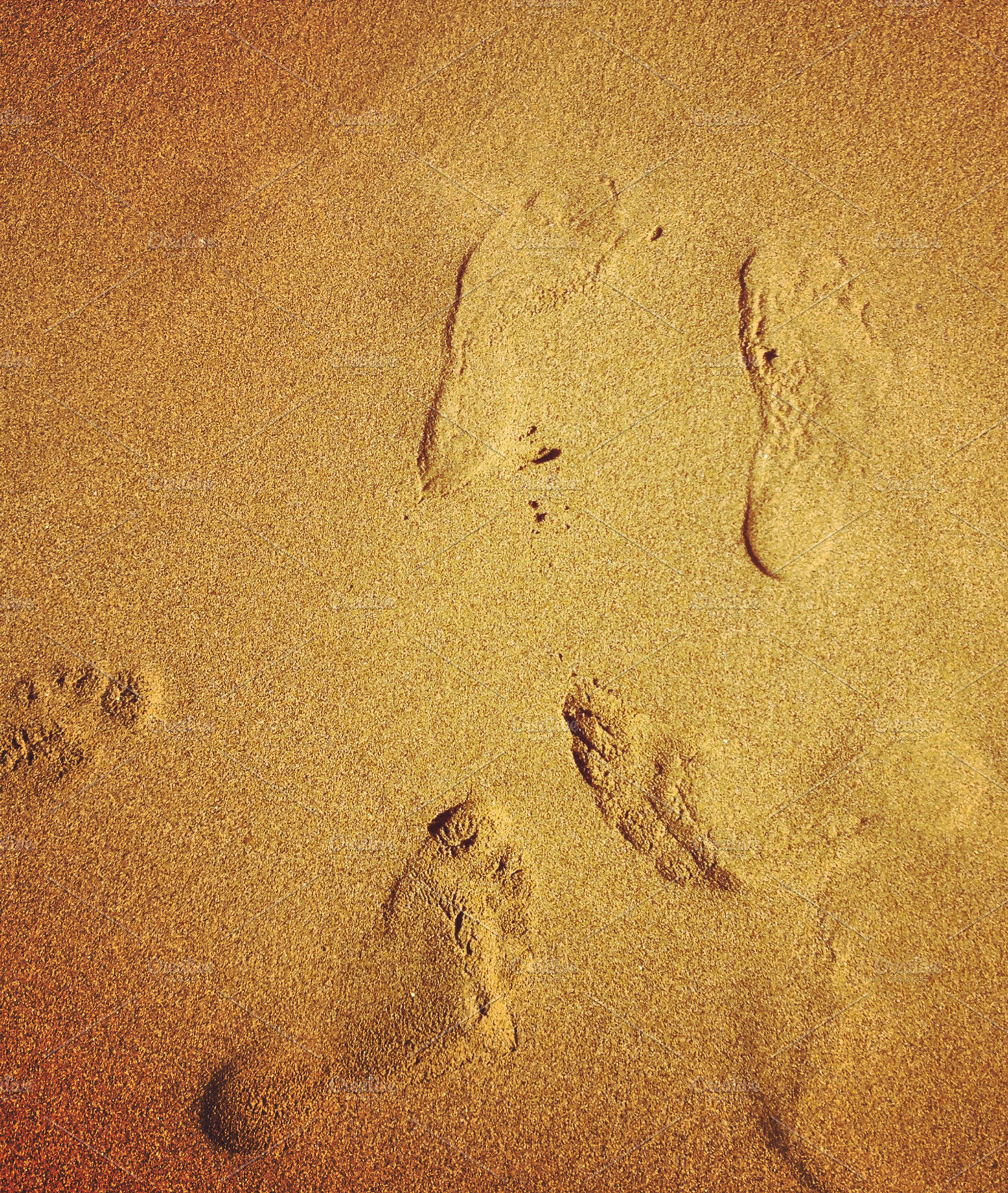 Foot Prints In Sand Beach