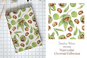 Watercolor Chestnut Set, a Food Illustration by MayaNavits (Thumbnail 5 of 7)
