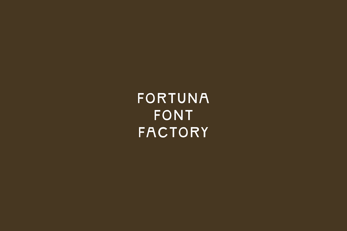 Randolf: Hand Drawn Sans Serif, a Sans Serif Font by Fortuna Font Foundry (Photo 4 of 4)