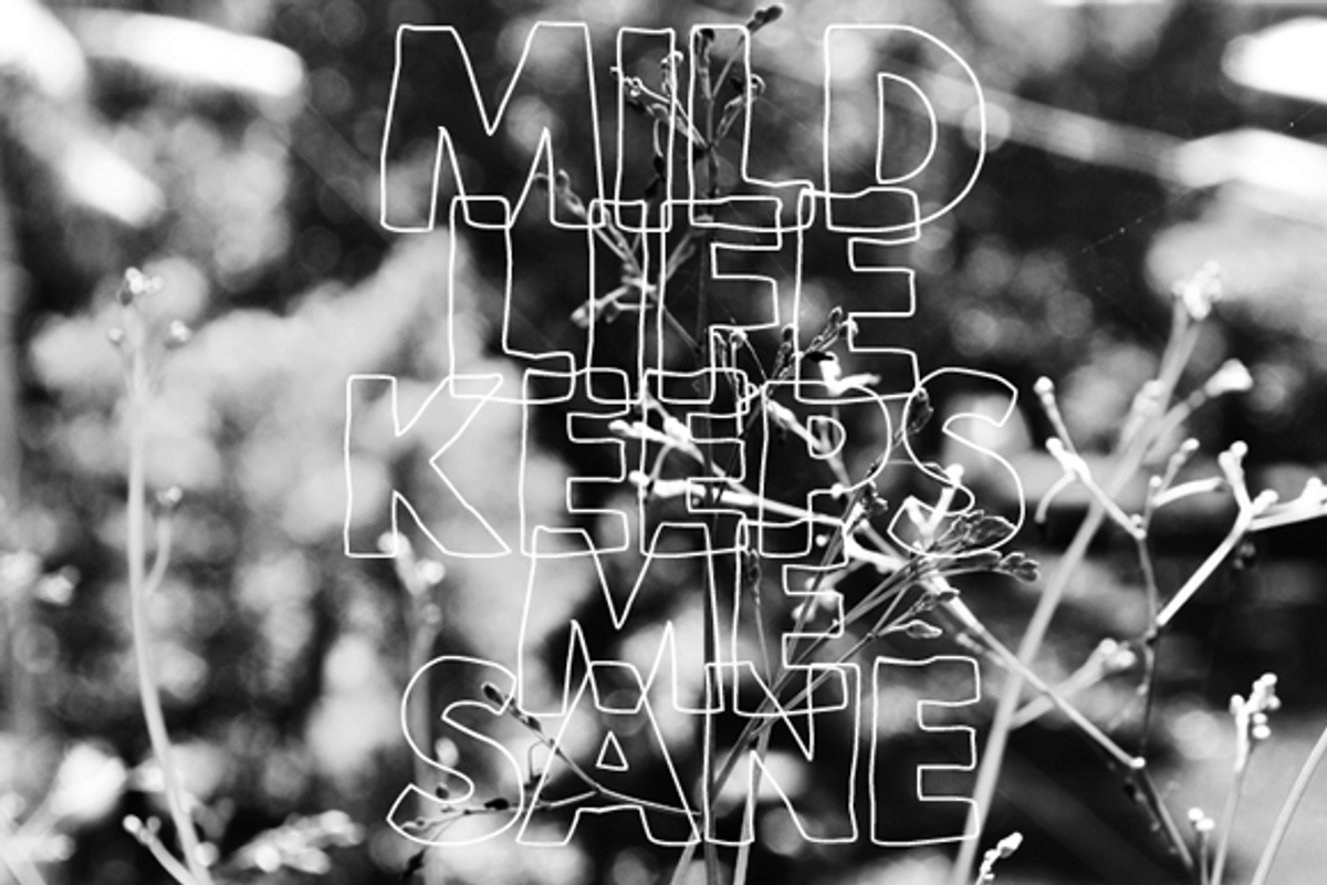 Mild Life Typeface preview 6