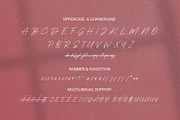 Starla Air - Stylish Signature Font, a Font by RHD Creative Studio (Thumbnail 9 of 9)