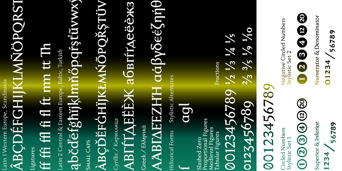 Faber Serif Pro, a Serif Font by ingoFonts (Photo 6 of 9)