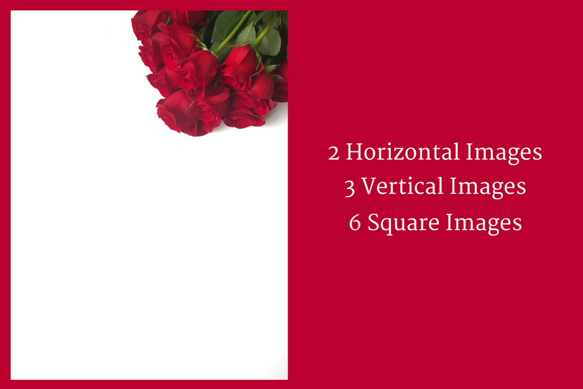 Red Roses Collection, a Business Photo by yamilette.platero (Photo 5 of 6)