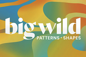 Big Wild Patterns and Shapes