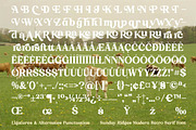 Sunday Ridges Retro Serif Font, a Serif Font by timelesstype.co (Thumbnail 19 of 20)