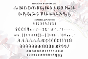 Delight | Script Font, a Handwritten Font by Scratchones (Thumbnail 7 of 8)
