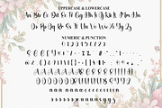 Astelia | Script Font, a Handwritten Font by Scratchones (Thumbnail 7 of 9)
