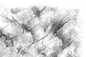 Tree monochrome pencile texture art