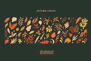 Autumn Leaves Hand Drawn Collection, an Object Graphic by Anny (Thumbnail 3 of 19)