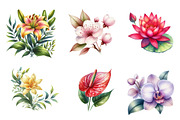 Watercolor Tropical Flowers Clipart, an Illustration by CreationArt (Thumbnail 2 of 5)