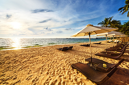 Tropical beach