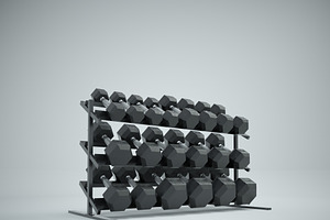 Hex Dumbbell Set And Rack