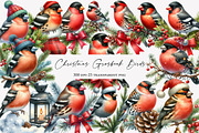 Christmas Grosbeak Birds Clipart, an Illustration by Designworld (Thumbnail 1 of 6)
