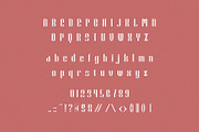 Briqusion – Modern Condensed Sans, a Sans Serif Font by BrandSemut (Thumbnail 7 of 8)