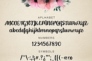 Fieldfare, a Handwritten Font by supfonts (Thumbnail 6 of 6)