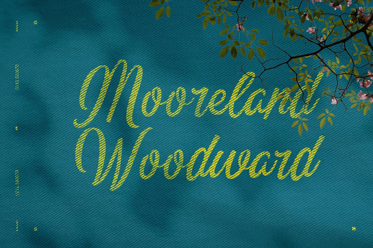 Almanor Peninsula, a Script Font by Subqi Std (Photo 8 of 9)