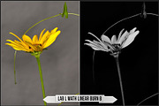 LAB Color V. 2 - Monochrome profiles, a Plug-in Add-On by Raztrend (Thumbnail 19 of 30)