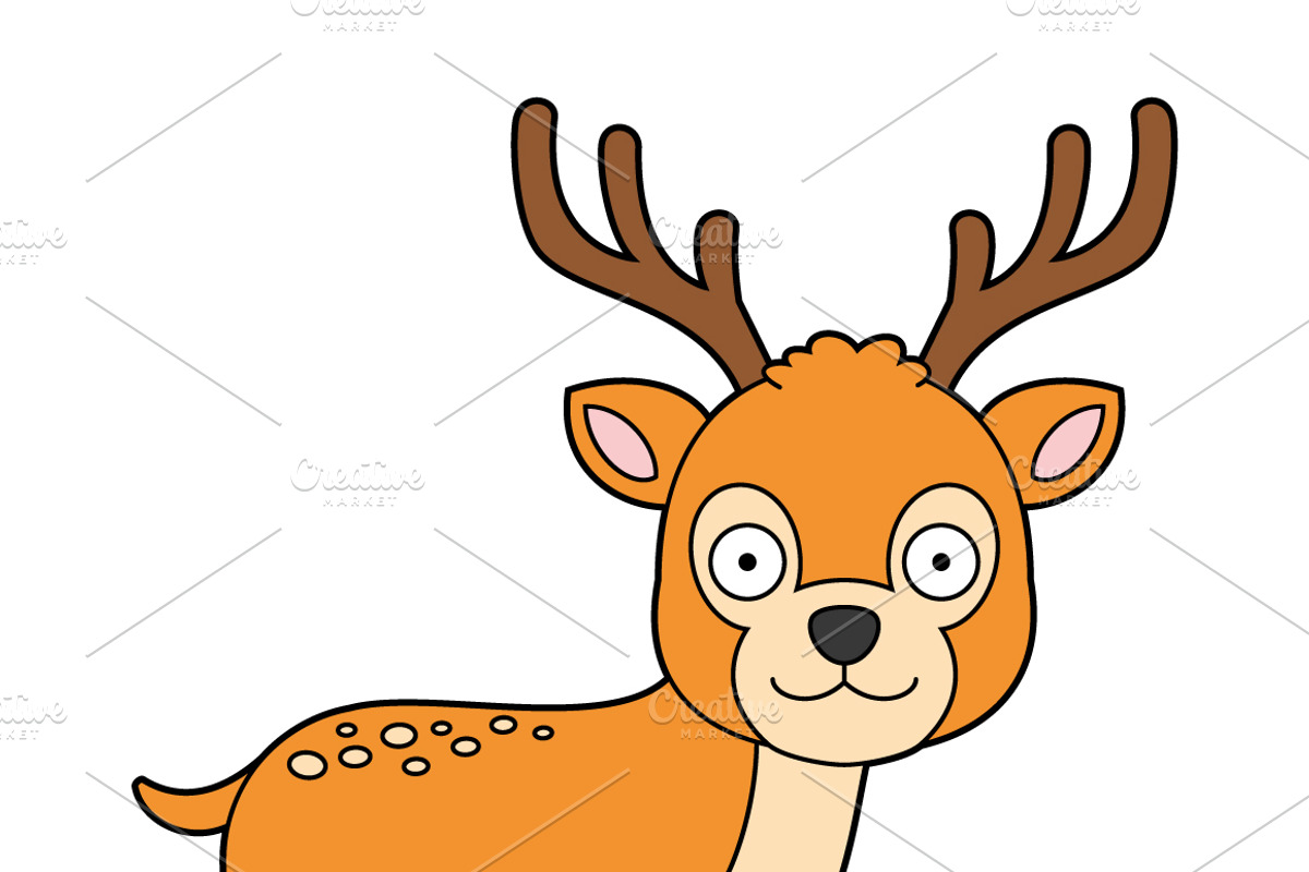 29x Forest Animals in cartoon style, an Animal Illustration by asantosg (Photo 5 of 11)