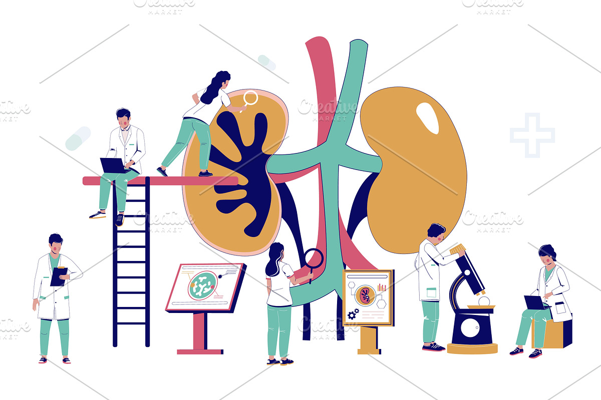 Doctors work on kidney treatment, a Healthcare Illustration by SiberianArt