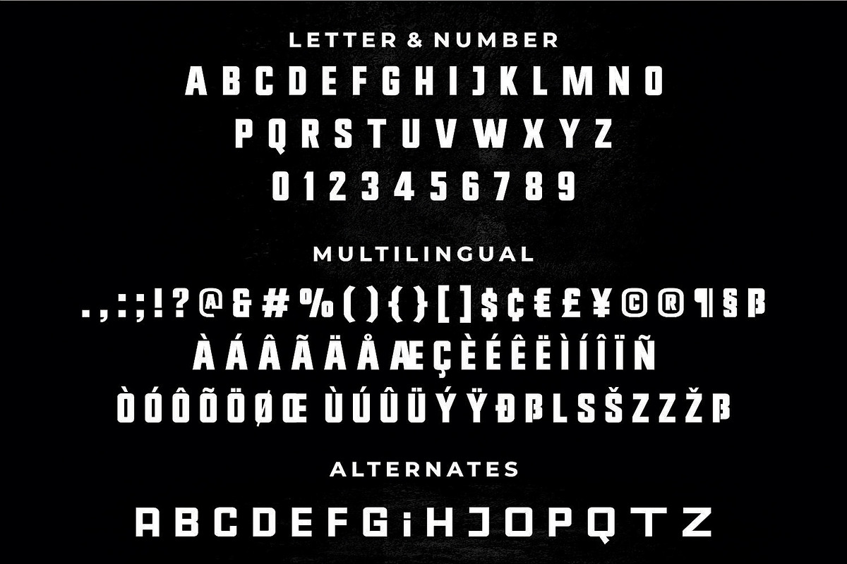 ROCKETS - A Powerful Sans Serif, a Sans Serif Font by Umitype (Photo 11 of 13)