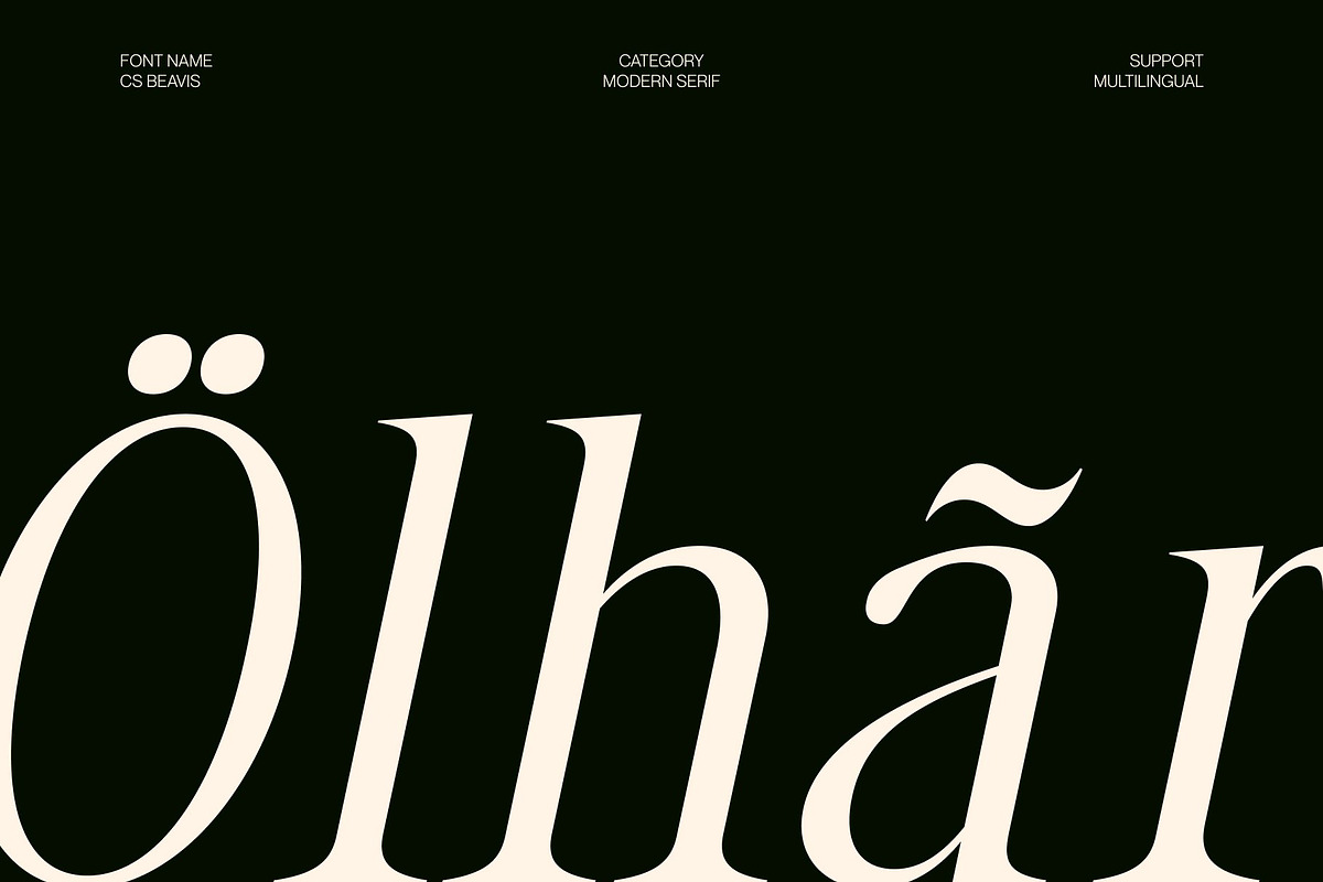CS Beavis – Modern Serif Font, a Serif Font by Craft Supply Co. (Photo 7 of 8)