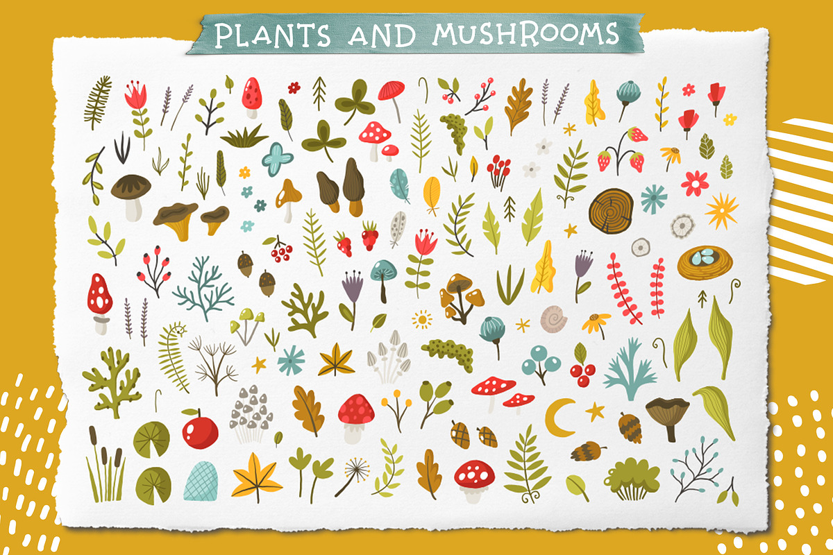 Forest animals collection, a Graphic by Murvin (Photo 4 of 11)