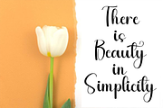 Star Bright, a Handwritten Font by FreshTypeINK (Thumbnail 4 of 7)