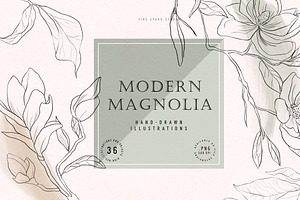 Modern Magnolia Floral Illustrations