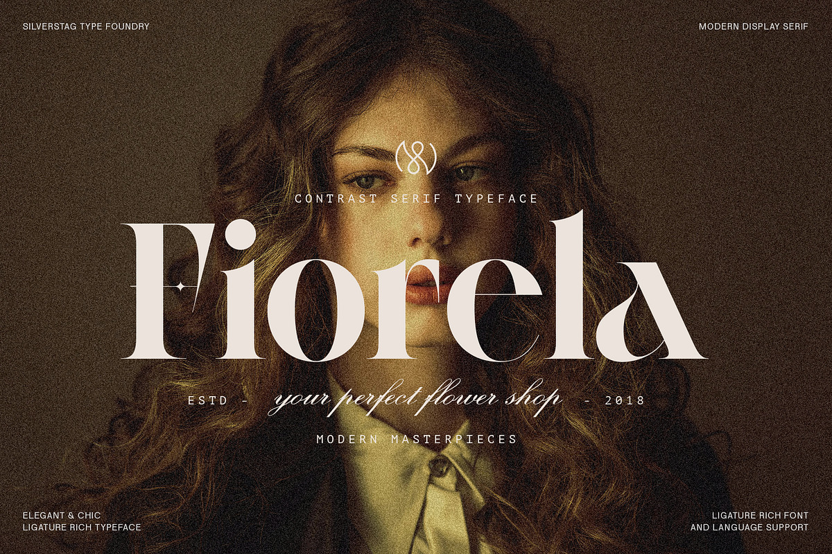 Raving Display Editorial Serif Font, a Serif Font by SilverStag Type Foundry (Photo 11 of 30)