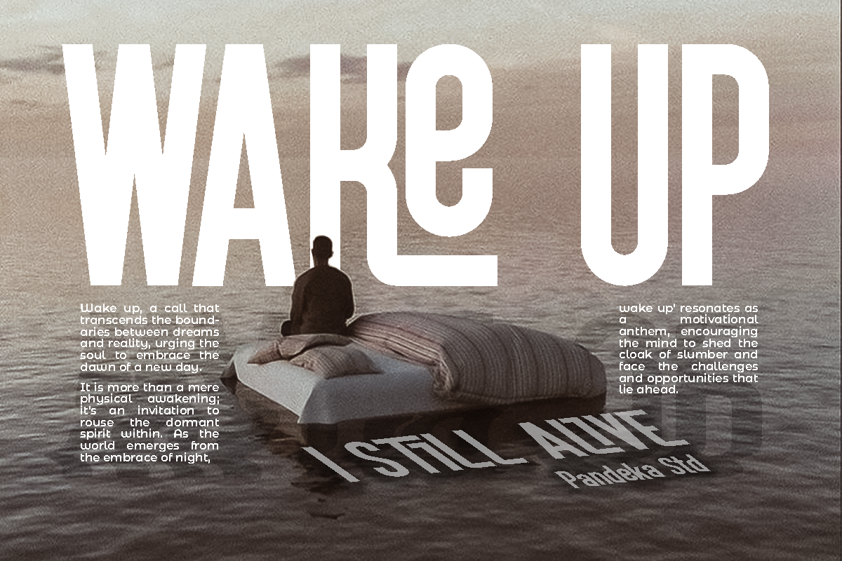 Rakita - Decorative Condensed, a Sans Serif Font by Pandeka Studio (Photo 8 of 12)