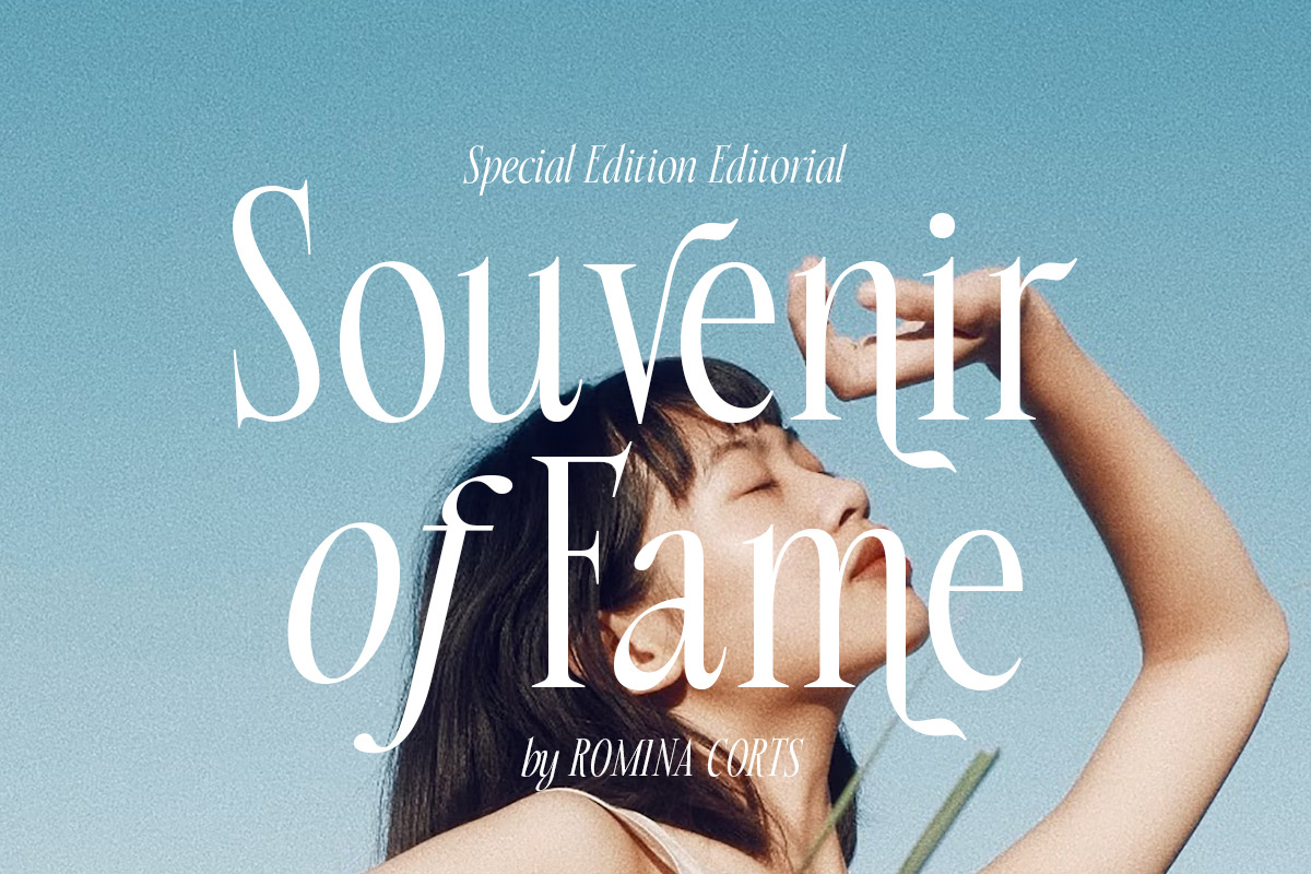 Beverly Walters Stylish Serif, a Serif Font by Letterhend Studio (Photo 4 of 11)