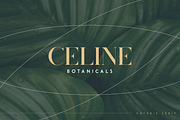 Coterie - Elegant Serif font, a Serif Font by Only Fonts (Thumbnail 3 of 10)