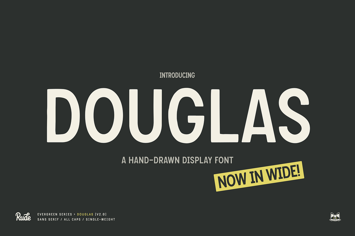 Douglas Vintage Display Font, a Sans Serif Font by bryrude (Photo 1 of 5)