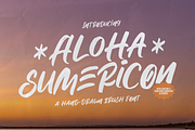 Aloha Sumericon | Hand Drawn Brush, a Handwritten Font by Denustudios (Thumbnail 1 of 12)