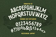 Vintage Browner, a Font by Arterfak Project (Thumbnail 10 of 12)