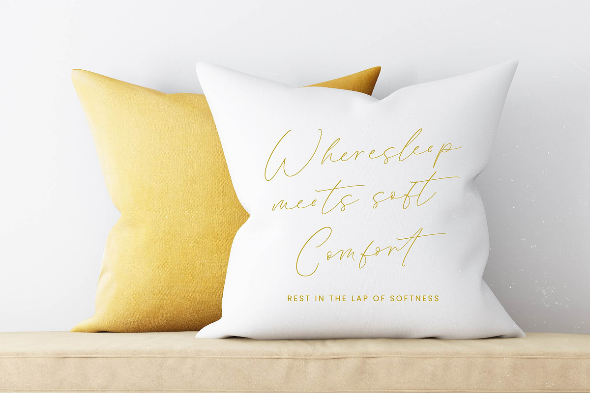 Modesta Outlook Stylish Handwritten, a Script Font by stylishtype.co (Photo 16 of 20)