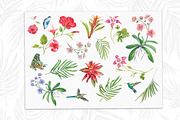 Tropic flower watercolor clip art, a Decorative Illustration by Nastya Che (Thumbnail 2 of 9)