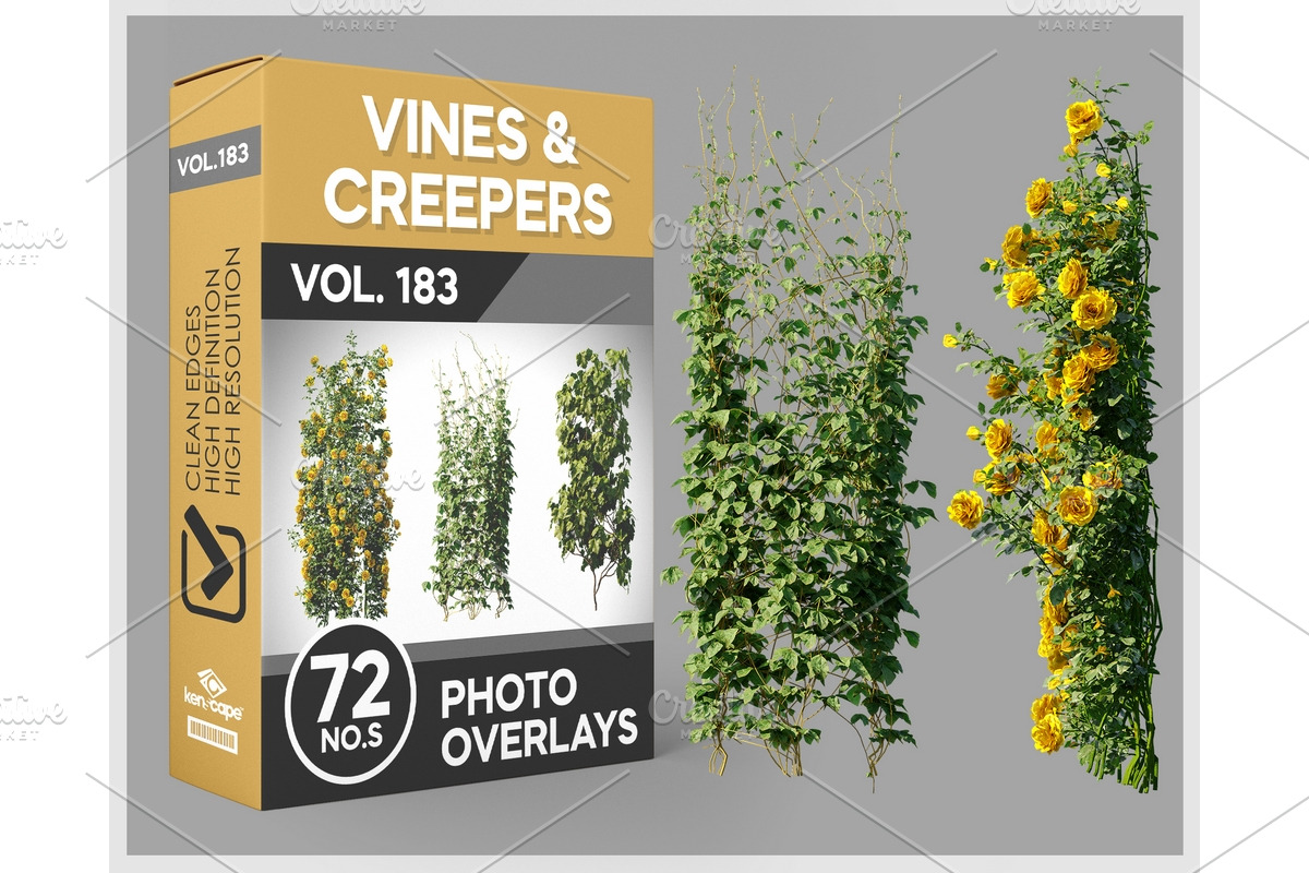 72 Vines & Creepers Photo Overlays, a Nature Photo by KenScape (Photo 1 of 3)