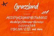 Grassland – Rough Texture Brush Font, a Handwritten Font by Gassstype (Thumbnail 6 of 10)