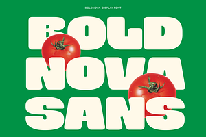 Boldnova - Bold Font, a Sans Serif Font by limitype