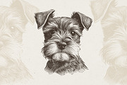 Dog Breeds Portrait Illustrations, an Animal Illustration by Nocturnal Wolf (Thumbnail 3 of 12)