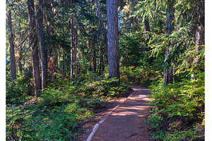 Paved trail to Rainy Lake in North, a Sports & Recreation Photo by Backyard Stock