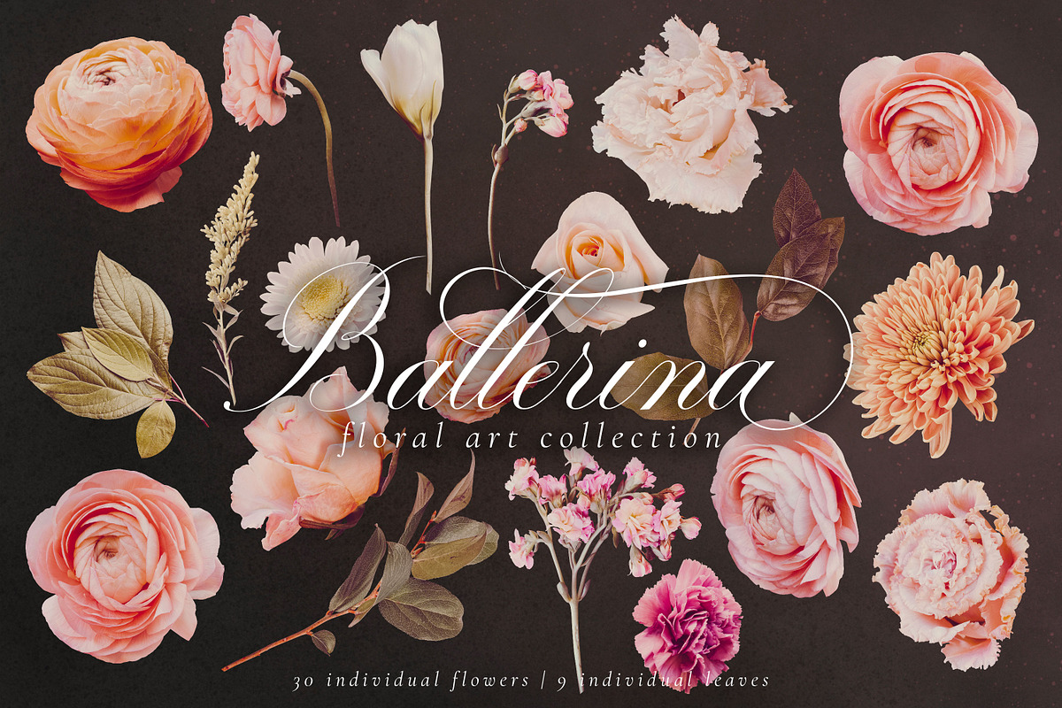 Ballerina Floral Art Collection, an Object Graphic by Eclectic Anthology (Photo 16 of 17)