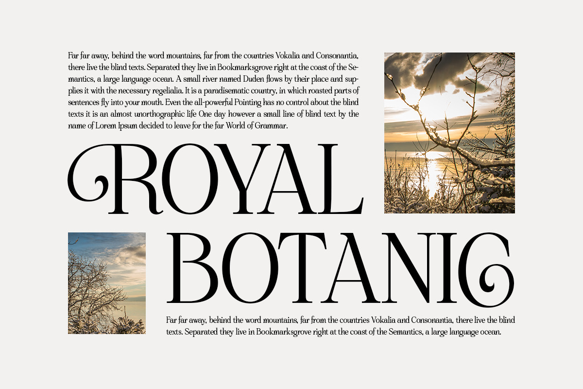 Treifany, a Serif Font by Attract Studio (Photo 14 of 20)